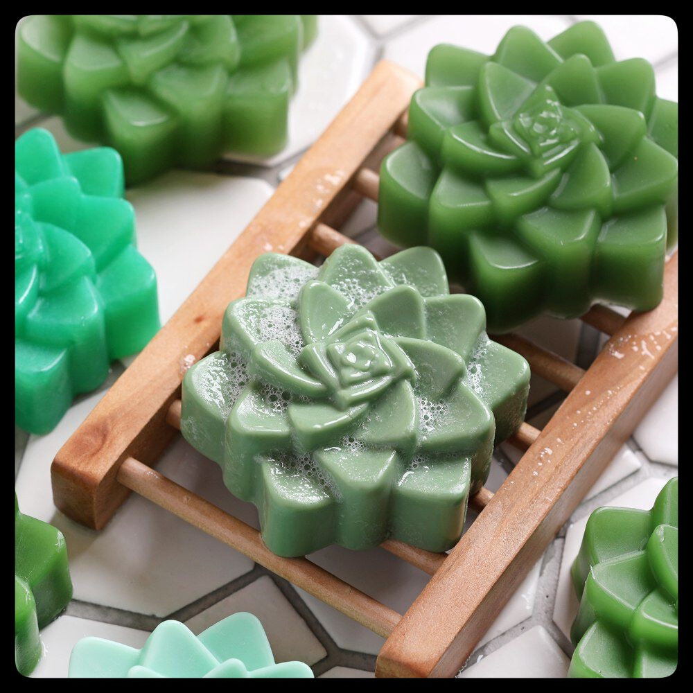 lush succulents Lush Succulent – Coco Candle